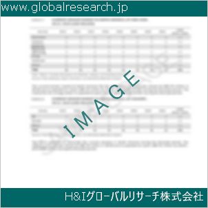 グローバルリサーチ調査資料のイメージ